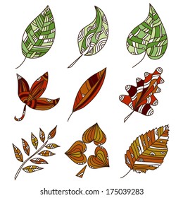 set of 9 hand drawn decorative leaves, design elements