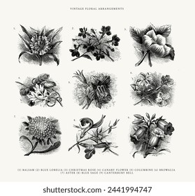 Set von 9 handgezeichneten Blumen - Vintage Line Art Illustrationen	