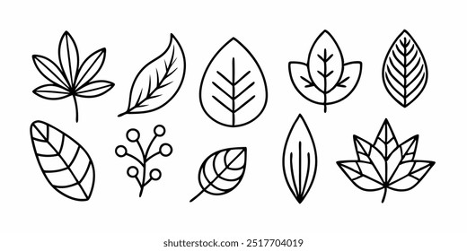 A set of 9 hand-drawn leaf illustrations, perfect for adding a touch of nature to your designs. Each leaf is unique and detailed, making them ideal for use in patterns, branding.