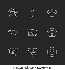 Set of 9 icons, for web, internet, mobile apps, interface design: business, finance, shopping, communication, fitness, computer, media, transportation, travel, easter, christmas, summer, device