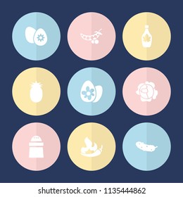 Set of 9 ingredient filled icons such as pepper, maple syrup, cucumber, easter egg, pineapple, peas, cabbage