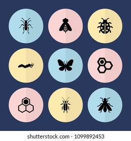 Set of 9 insect filled icons such as ant, butterfly, fly, honey, ladybug, beetle, bee