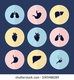 Set of 9 internal filled icons such as stomach, liver, heart organ