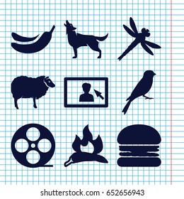 Set of 9 logo filled icons such as chili, sheep, wolf, sparrow, banana, movie tape, camera display, dragonfly