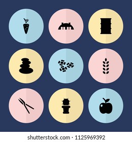 Set of 9 natural filled icons such as spa stones, garden tools, barrel, cactus, barn, apple, flower, plant