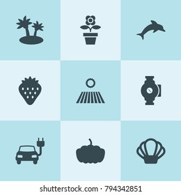 Set of 9 natural filled icons such as field, pumpkin, strawberry, electric car, pump, flower pot, shell, dolphin
