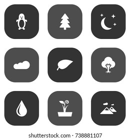Set Of 9 Natural Icons Set.Collection Of Blob, Flowerpot, Midnight And Other Elements.