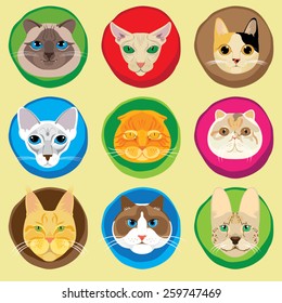 Set of 9 (nine) cute cat faces icons. Cat faces collection