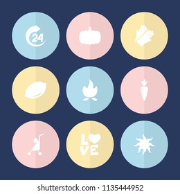 Set of 9 orange filled icons such as pumpkin, lemon, gloves, bonfire, sun, 24 hours, baby stroller, carrot on fork