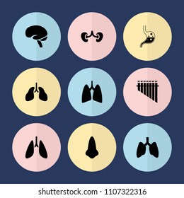 Set of 9 organ filled icons such as nose, brain, kidney, lungs, stomach