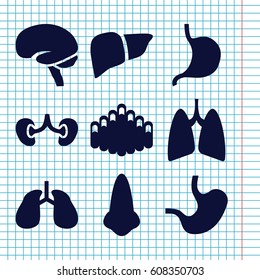 Set of 9 organ filled icons such as nose, stomach, liver, lungs, brain, kidney