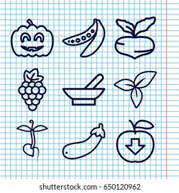 Set of 9 organic outline icons such as bowl, grape, beet, sprout, leaf, aubergine, peas, pumpkin halloween