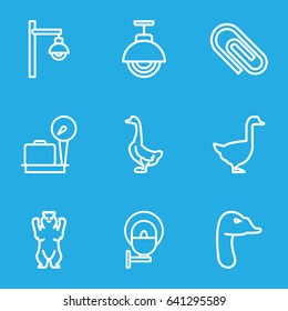 set of 9 outline icons such as lugagge weight, bear, goose, street lamp