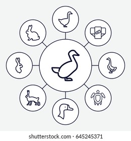 Set of 9 outline icons such as rabbit, goose, diaper