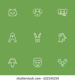 Set Of 9 Outline Icons.Collection Of Dog, Rabbit, Feline Bear And Other Elements.