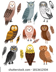 Set of 9 owls and 9 feathers. Vector Illustration isolated on white. Night birds - owl, eagle owl, barn owl. Brown, grey, yellow colors. Cartoon flat design. Cute characters.