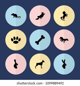 Set of 9 pet filled icons such as dog, rabbit, paw, bone, horse, mouse