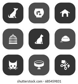 Set Of 9 Pets Icons Set.Collection Of Fishbowl, Sitting, Cat And Other Elements.