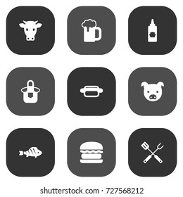 Set Of 9 Picnic Icons Set.Collection Of Swine, Kitchen Uniform, Ketchup Bottle And Other Elements.