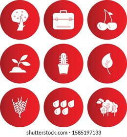  Set of 9 Quality icon for your project

