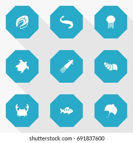 Set Of 9 Seafood Icons Set.Collection Of Tortoise, Medusa, Sink And Other Elements.