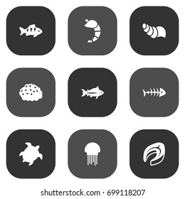 Set Of 9 Seafood Icons Set.Collection Of Medusa, Roe, Tunny And Other Elements.