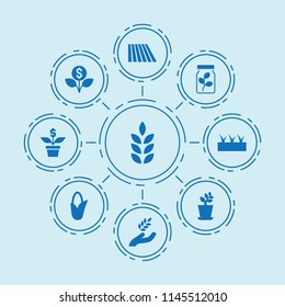 Set of 9 seed filled icons such as wheat, field, harvest, corn, plant, sprouting, money flower