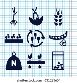 Set of 9 seed filled icons such as wheat, harvest, sack, peas, sprout plants, sprout, seed bag