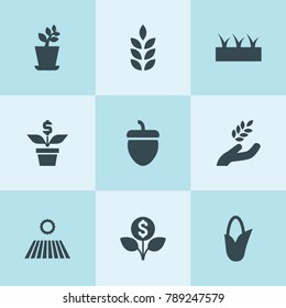 Set of 9 seed filled icons such as wheat, field, harvest, corn, plant, sprouting, acorn