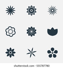 Set Of 9 Simple Blossom Icons. Can Be Found Such Elements As Pattern, Larkspur, Saffron And Other.