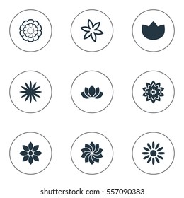 Set Of 9 Simple Blossom Icons. Can Be Found Such Elements As Orchids, Saffron, Water Lily; And Other.
