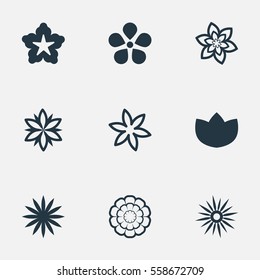 Set Of 9 Simple Blossom Icons. Can Be Found Such Elements As Morning Glory, Cypress, Pattern And Other.