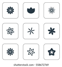 Set Of 9 Simple Blossom Icons. Can Be Found Such Elements As Helianthus, Aster, Camomile And Other.