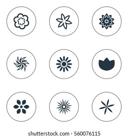 Set Of 9 Simple Blossom Icons. Can Be Found Such Elements As Laurel, Lilac, Pattern And Other.