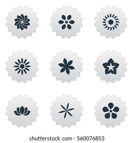 Set Of 9 Simple Blossom Icons. Can Be Found Such Elements As Floral, Delphinium, Camomile And Other.