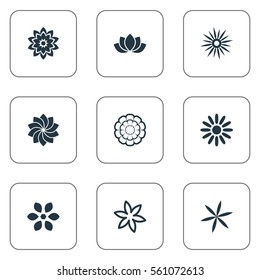 Set Of 9 Simple Blossom Icons. Can Be Found Such Elements As Helianthus, Water Lily;, Pattern And Other.