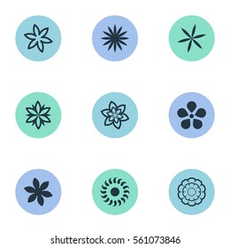 Set Of 9 Simple Blossom Icons. Can Be Found Such Elements As Narcissus, Gerberas;, Bloom And Other.
