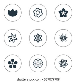 Set Of 9 Simple Flower Icons. Can Be Found Such Elements As Morning Glory, Peony, Sword Lily And Other.