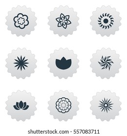 Set Of 9 Simple Flower Icons. Can Be Found Such Elements As Orchids, Sword Lily, Gerberas; And Other.