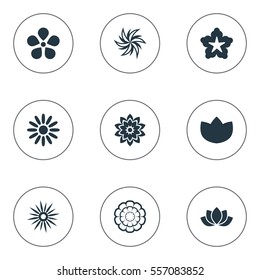 Set Of 9 Simple Flower Icons. Can Be Found Such Elements As Delphinium, Water Lily;, Peony And Other.