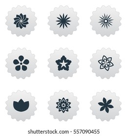 Set Of 9 Simple Flower Icons. Can Be Found Such Elements As Aster, Bloom, Saffron And Other.