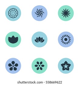 Set Of 9 Simple Flower Icons. Can Be Found Such Elements As Peony, Delphinium, Floral And Other.