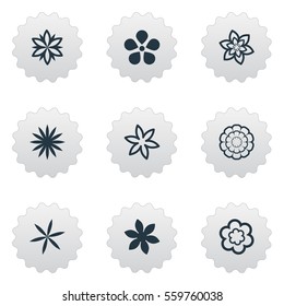 Set von 9 einfachen Blumensymbols. Man kann solche Elemente wie Narzissen, Morgenruhe, Delphinium und andere finden.