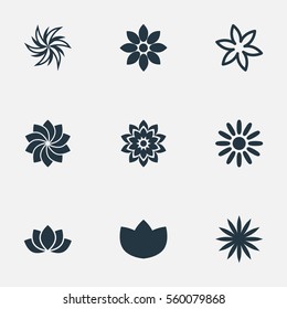 Set Of 9 Simple Flower Icons. Can Be Found Such Elements As Lilac, Aster, Laurel And Other.