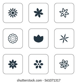 Set Of 9 Simple Flower Icons. Can Be Found Such Elements As Orchids, Camomile, Larkspur And Other.