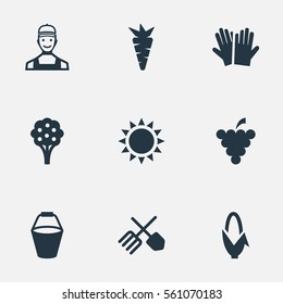 Set Of 9 Simple Garden Icons. Can Be Found Such Elements As Sunshine, Horticultural Gauntlet, Maize And Other.