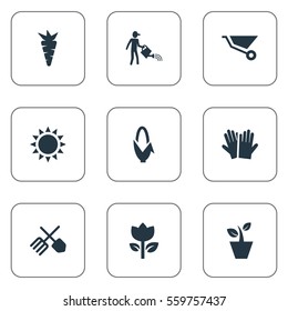 Set Of 9 Simple Gardening Icons. Can Be Found Such Elements As Root, Maize, Sunshine And Other.