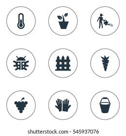 Set Of 9 Simple Horticulture Icons. Can Be Found Such Elements As Beetle, Root, Fruit And Other.