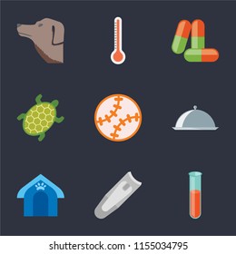 Set Of 9 simple icons such as Test tube, Nail clippers, Pet house, Food, Toy, Turtle, Drugs, Thermometer, Dog, can be used for mobile, pixel perfect vector icon pack on black background