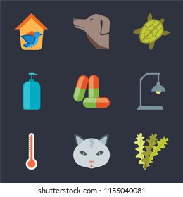 Set Of 9 simple icons such as Seaweed, Cat, Thermometer, Lamp, Drugs, Shampoo, Turtle, Dog, Bird house, can be used for mobile, pixel perfect vector icon pack on black background